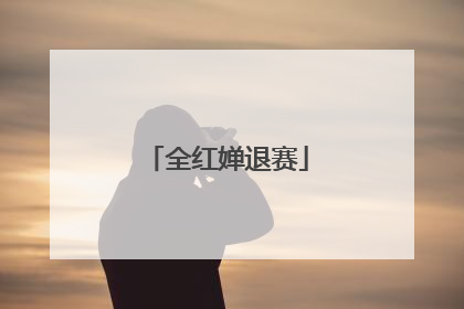全红婵退赛
