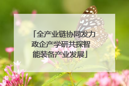 全产业链协同发力 政企产学研共探智能装备产业发展
