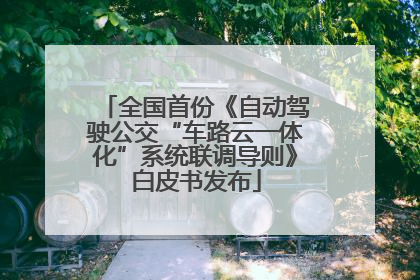 全国首份《自动驾驶公交“车路云一体化”系统联调导则》白皮书发布