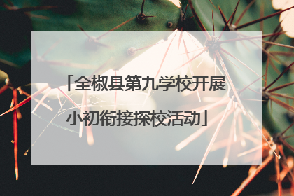 全椒县第九学校开展小初衔接探校活动