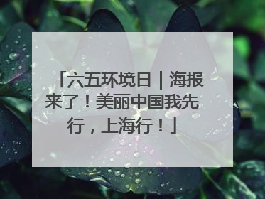 六五环境日｜海报来了！美丽中国我先行，上海行！