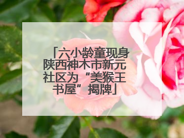 六小龄童现身陕西神木市新元社区为“美猴王书屋”揭牌