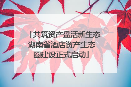 共筑资产盘活新生态 湖南省酒店资产生态圈建设正式启动