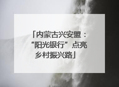内蒙古兴安盟：“阳光银行”点亮乡村振兴路