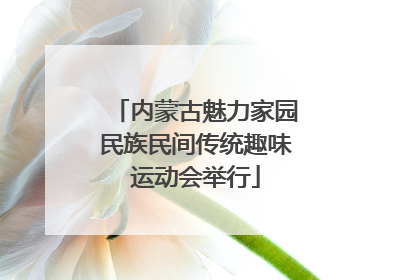 内蒙古魅力家园民族民间传统趣味运动会举行
