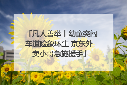 凡人善举丨幼童突闯车道险象环生 京东外卖小哥急施援手