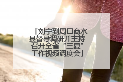 刘宁到周口商水县督导调研并主持召开全省“三夏”工作视频调度会