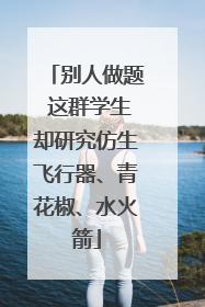 别人做题 这群学生却研究仿生飞行器、青花椒、水火箭