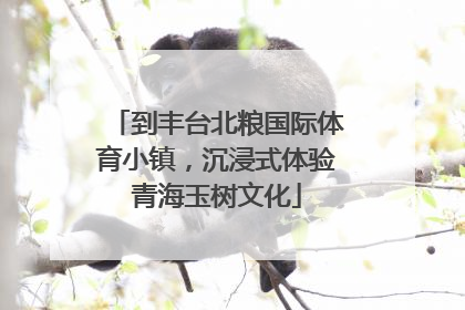 到丰台北粮国际体育小镇，沉浸式体验青海玉树文化