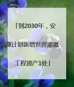到2030年，安徽计划新增世界灌溉工程遗产1处