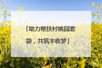 助力帮扶村桃园套袋，共筑丰收梦