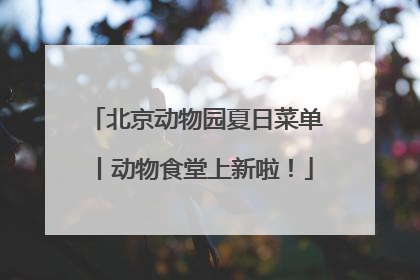 北京动物园夏日菜单丨动物食堂上新啦！