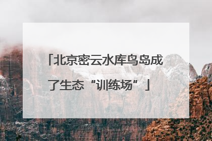 北京密云水库鸟岛成了生态“训练场”