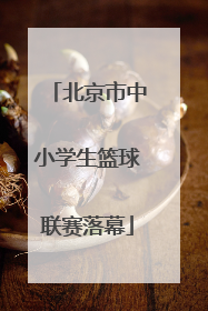 北京市中小学生篮球联赛落幕
