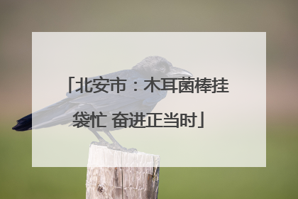 北安市：木耳菌棒挂袋忙 奋进正当时