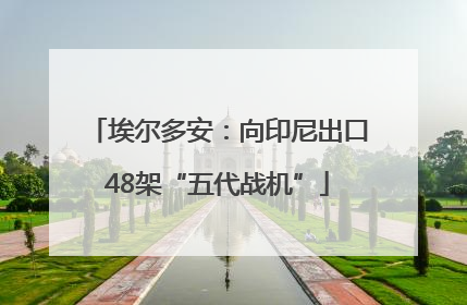 埃尔多安：向印尼出口48架“五代战机”