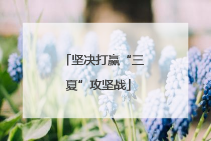 坚决打赢“三夏”攻坚战