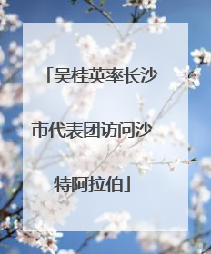 吴桂英率长沙市代表团访问沙特阿拉伯