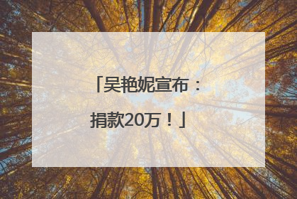吴艳妮宣布：捐款20万！