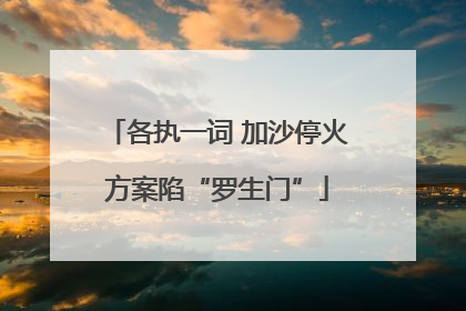 各执一词 加沙停火方案陷“罗生门”