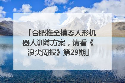 合肥推全模态人形机器人训练方案，请看《浪尖周报》第29期