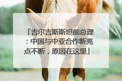 吉尔吉斯斯坦前总理：中国与中亚合作新亮点不断，原因在这里