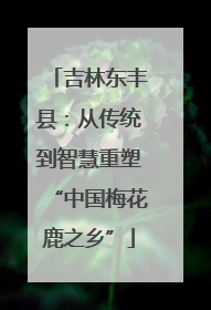吉林东丰县：从传统到智慧重塑“中国梅花鹿之乡”