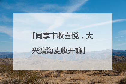 同享丰收喜悦，大兴瀛海麦收开镰