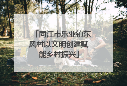 同江市乐业镇东风村以文明创建赋能乡村振兴