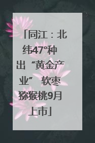 同江：北纬47°种出“黄金产业” 软枣猕猴桃9月上市