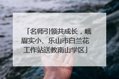 名师引领共成长，峨眉实小、乐山市白兰花工作站送教南山学区
