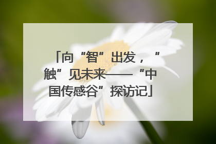 向“智”出发，“触”见未来——“中国传感谷”探访记