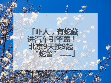 吓人，有蛇藏进汽车引擎盖！北京9天接9起“蛇警”……