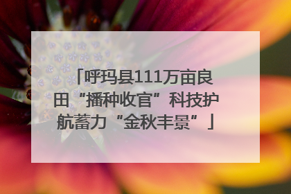 呼玛县111万亩良田“播种收官”科技护航蓄力“金秋丰景”