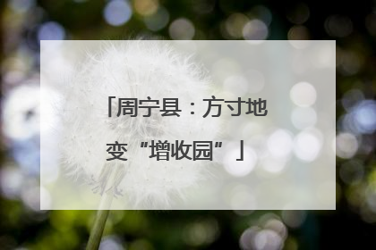 周宁县：方寸地变“增收园”