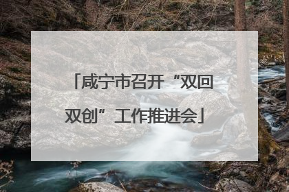 咸宁市召开“双回双创”工作推进会