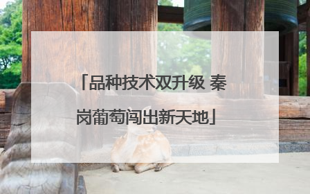品种技术双升级 秦岗葡萄闯出新天地