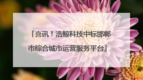 喜讯！浩鲸科技中标邯郸市综合城市运营服务平台