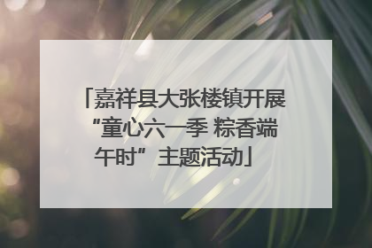嘉祥县大张楼镇开展“童心六一季 粽香端午时”主题活动