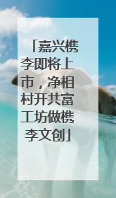 嘉兴槜李即将上市，净相村开共富工坊做槜李文创