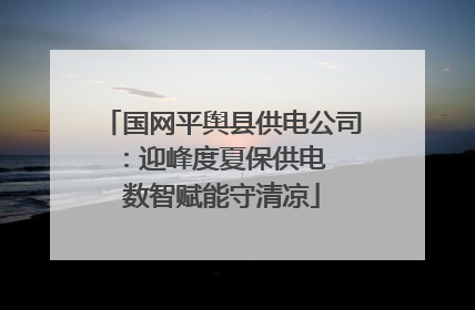 国网平舆县供电公司：迎峰度夏保供电  数智赋能守清凉