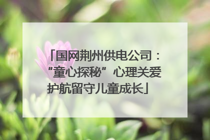 国网荆州供电公司：“童心探秘”心理关爱护航留守儿童成长