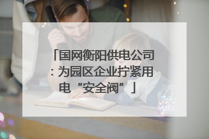 国网衡阳供电公司：为园区企业拧紧用电“安全阀”