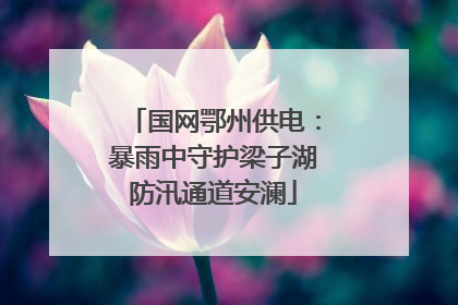 国网鄂州供电：暴雨中守护梁子湖防汛通道安澜