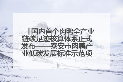 国内首个肉鸭全产业链碳足迹核算体系正式发布——泰安市肉鸭产业低碳发展标准示范项目顺利通过验收
