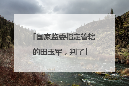 国家监委指定管辖的田玉军，判了