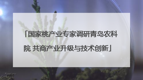 国家桃产业专家调研青岛农科院 共商产业升级与技术创新