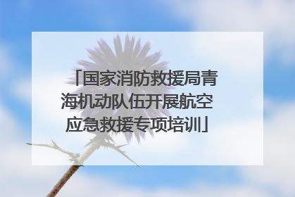 国家消防救援局青海机动队伍开展航空应急救援专项培训