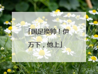 国足换帅！伊万下，他上