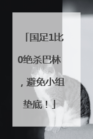 国足1比0绝杀巴林，避免小组垫底！